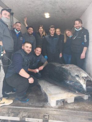 Τόνος 390 κιλών και 3 μέτρων αλιεύτηκε στο Ιόνιο
