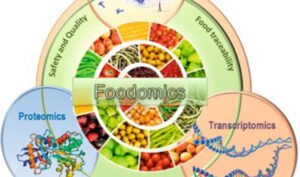 Foodomics: H νέα επιστήμη τροφίμων και οι προοπτικές της στην ανάλυση και την ασφάλεια