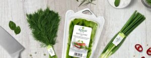 Ζητείται Γεωπόνος για τη θέση του Διευθυντή Παραγωγής Καλλιεργειών