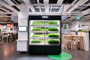 Η IKEA θα καλλιεργεί βότανα μέσα στα εστιατόριά της!