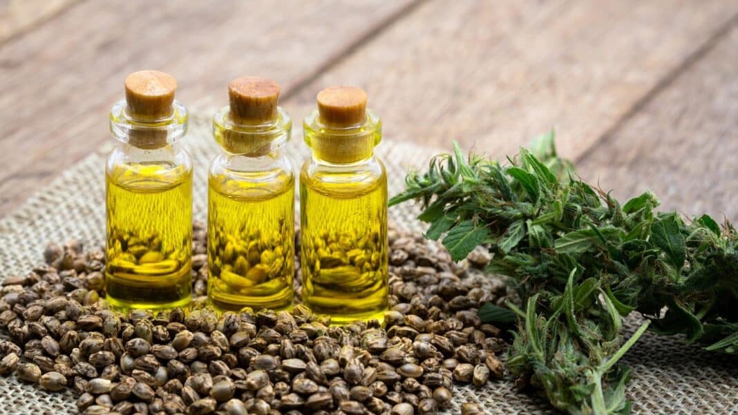 Η EFSA δεν μπορεί να επιβεβαιώσει την ασφάλεια της CBD ως νέο τρόφιμο - Και εξηγεί γιατί