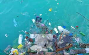 Η παραπλάνηση “greenwashing” – Ποιες εταιρείες υιοθετούν αυτή την πρακτική
