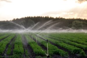 ZEN-IRRIWARE: Λογισμικό άρδευσης ακρίβειας, καλλιεργειών