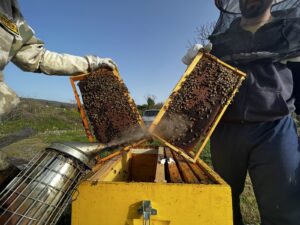 Βόρεια Εύβοια: Γευστική περιπλάνηση στα προϊόντα 28 παραγωγών της περιοχής