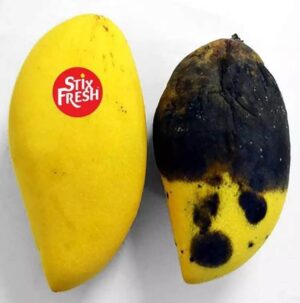 Καινοτομία StixFresh: Το μικρό αυτοκόλλητο που παρατείνει τη διάρκεια ζωής των φρούτων
