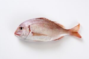 Ελληνική Μελέτη: Αποτελεσματική συνδυασμένη καλλιέργεια γλιστρίδας και τσιπούρας