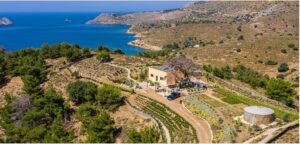 Λέρος: Αγρόκτημα αρωματικών φυτών από τη μονάδα ψυχικής υγείας