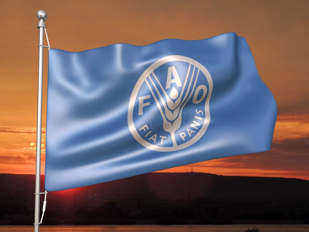 FAO - Η χρήση αντιβιοτικών στην κτηνοτροφία θα αυξηθεί 30% έως το 2040
