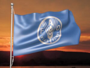 FAO - Η χρήση αντιβιοτικών στην κτηνοτροφία θα αυξηθεί 30% έως το 2040