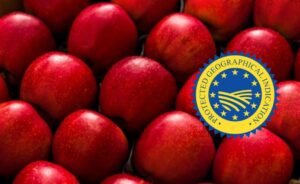 Derecske alma: ΠΓΕ μήλα διαφόρων ποικιλιών από την Ουγγαρία