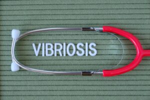 Vibriosis από θαλασσινά: Μεγάλη αύξηση των κρουσμάτων λόγω της αύξησης της θερμοκρασίας