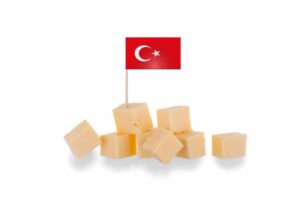 Η Τουρκία απαγόρευσε την παραγωγή και πώληση vegan τυριού – Παγκόσμια κατακραυγή