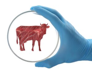 Είναι το καλλιεργούμενο κρέας vegan;