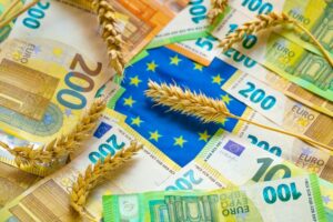 ΟΗΕ: Οι αβεβαιότητες γύρω από τη συμφωνία της Μαύρης Θάλασσας για τα σιτηρά αυξάνουν τις τιμές