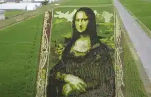 Η «Mona Lisa» σε ρυζοχώραφο!