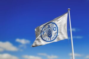 FAO: Το blockchain από τη φάρμα μέχρι το πιάτο