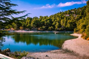 Μεγάλη κινητοποίηση στη λίμνη Μπελέτσι του δήμου Ωρωπού για τη σωτηρία μιας πάπιας
