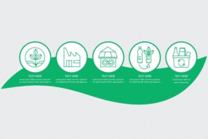 The Green City: 8 εκατομμύρια τόνοι ανακυκλώσιμων υλικών συγκεντρώθηκαν από τους πολίτες της Αττικής