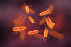 200 κρούσματα E. coli στη Βρετανία από τις αρχές Σεπτεμβρίου