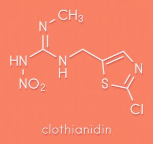 ΕΕ: Μείωση των ΑΟΚ για clothianidin και thiamethoxam σε εισαγόμενα τρόφιμα