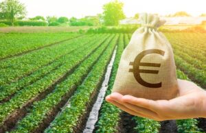 Α. Βεσυρόπουλος: Μείωση φόρων για τους αγρότες – Ανάπτυξη νέων επιχειρηματικών σχημάτων