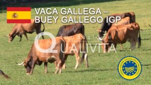 ΕΕ: ΠΓΕ το Ισπανικό Βόειο κρέας “Vaca Gallega – Buey Gallego”