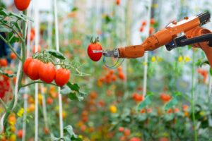 29η Agrotica: Επί τάπητος οι καινοτόμες τεχνικές στη διαχείριση φυσικών πόρων και ενέργειας