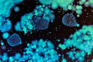 Για πρώτη φορά εντοπίστηκε “συμμαχία” βακτηρίων και μυκήτων που δημιούργησαν έναν επιθετικό υπερ-οργανισμό!