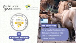 Θεσσαλονίκη – 29η Agrotica: Ευρωπαϊκό βραβείο για τη διατήρηση της ελληνικής κόκκινης φυλής