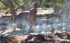 Μαστίχα: Ο “Λευκός Χρυσός” της Χίου