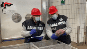Επιδημία Listeria στην Ιταλία: Ανέλαβαν οι καραμπινιέροι – Έφοδοι σε όλη τη χώρα (video) – Στο στόχαστρο 1.100 εταιρείες τροφίμων