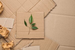 Γιατί το χαρτί κατάλληλο για τρόφιμα θα φέρει επανάσταση στις συσκευασίες στο μέλλον