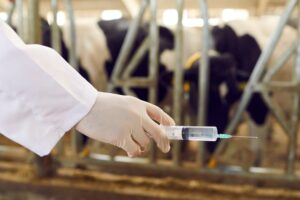 65 οργανώσεις ζητούν από τον FDA να σταματήσει την προληπτική χρήση αντιβιοτικών σε ζώα εκτροφής