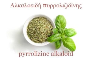 Εξαγωγές Ελληνικής ρίγανης: Οι Ολλανδοί μας την επέστρεψαν λόγω Αλκαλοειδών πυρρολιζιδίνης