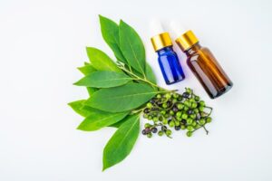 Cronobacter sakazakii: Αναστολή δράσης από το αιθέριο έλαιο Litsea cubeba – Επιστημονική μελέτη
