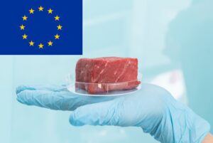 Η Ευρώπη “παίζει δυνατά” στο κρέας εργαστηρίου – Χρηματοδότηση 25 εκ. ευρώ σε έρευνα