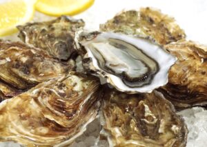 Το ευρωπαϊκό στρείδι Ostrea Edulis επιστρέφει πανηγυρικά!