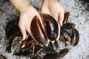Βιοτοξίνες στα μύδια Χαλάστρας – Απαγόρευση αλίευσης – “Ξεπουλάνε” τα μύδια Μακρύγιαλου Πιερίας