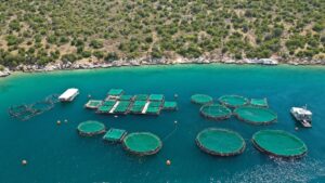ΕΕ: Σχέδιο δράσης για βιώσιμη αλιεία