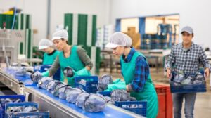 Βιομηχανία τροφίμων προς πρώην εργαζόμενους: “Γυρίστε πίσω, παρακαλώ!”
