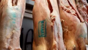 Έλεγχοι σε σύνορα και σφαγεία για την αποτροπή «ελληνοποιήσεων» αμνοεριφίων