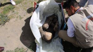 Διανομέας μετέφερε μούμια ανεκτίμητης αξίας σε τσάντα Delivery
