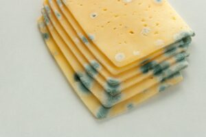 Μούχλα στο τυρί: Το πετάμε ή σώζεται;