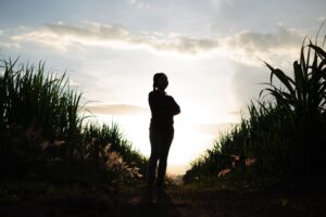 Αποκαλύπτοντας τη βίαιη ιστορία της βιομηχανίας ζάχαρης του Καναδά