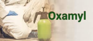 ΕΕ: Οριστική απαγόρευση του φυτοφαρμάκου Oxamyl