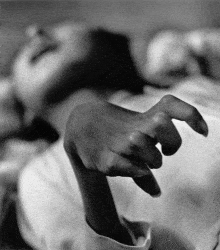 Η Μιναμάτα και τα εισαγόμενα ψάρια