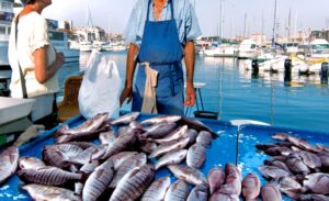 BIOΑΞΙΟΠΟΙΩ: Παραγωγή βιομορίων υψηλής ποιότητας από αλιευτικά υποπροϊόντα