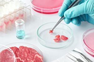 Απαγόρευση καλλιεργούμενου κρέατος στην Ιταλία: Μήπως να το ξανασκεφτούν;