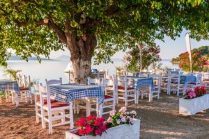 Η κουλτούρα της… ταβέρνας