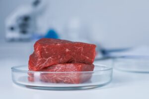 Έρευνα: Άρνηση των καταναλωτών προς το καλλιεργούμενο κρέας δημιουργούν οι εικόνες που προβάλλουν τα ΜΜΕ